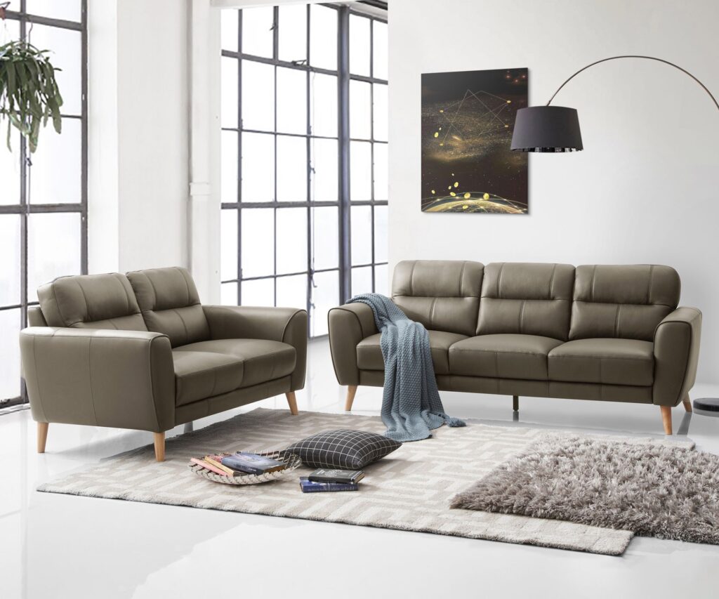 Leather lounge set in contemporary living room