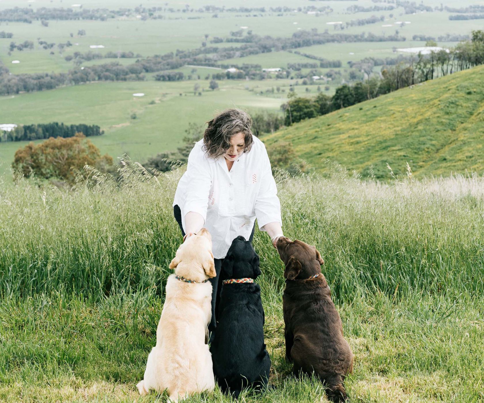 7 ways to help your pets beat the heat