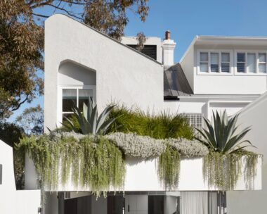 small-inner-Sydney-terrace-rear-exterior-rooftop-garden