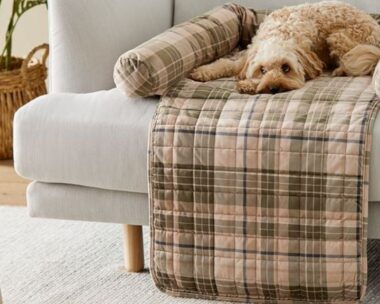 11 pet accessories so stylish you won’t have to hide them away