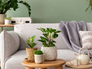 Amazon’s Big Smile Sale has arrived and we couldn’t be happier