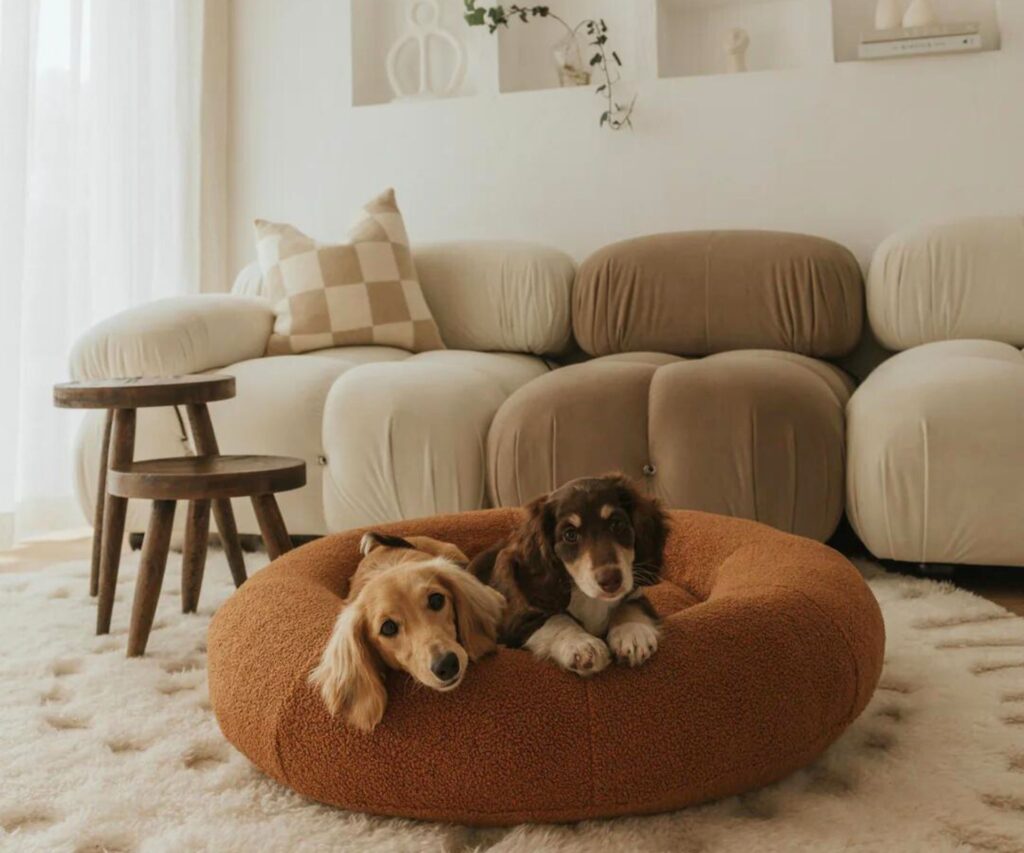Dog-beds-australia-SASH-Premium-Teddy-Bed
