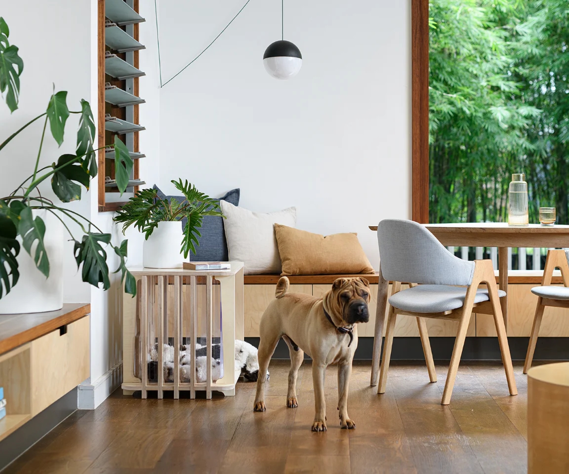 These 5 subscriptions are the paw-fect way to spoil your beloved pooch