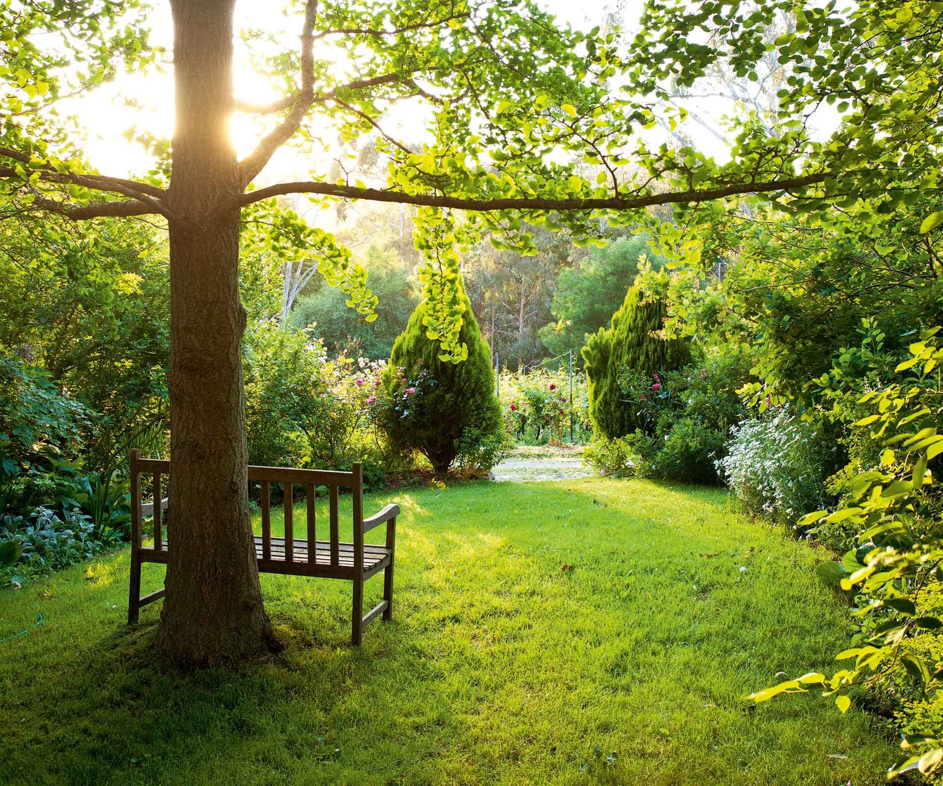 How to take care of a winter garden when it gets cold