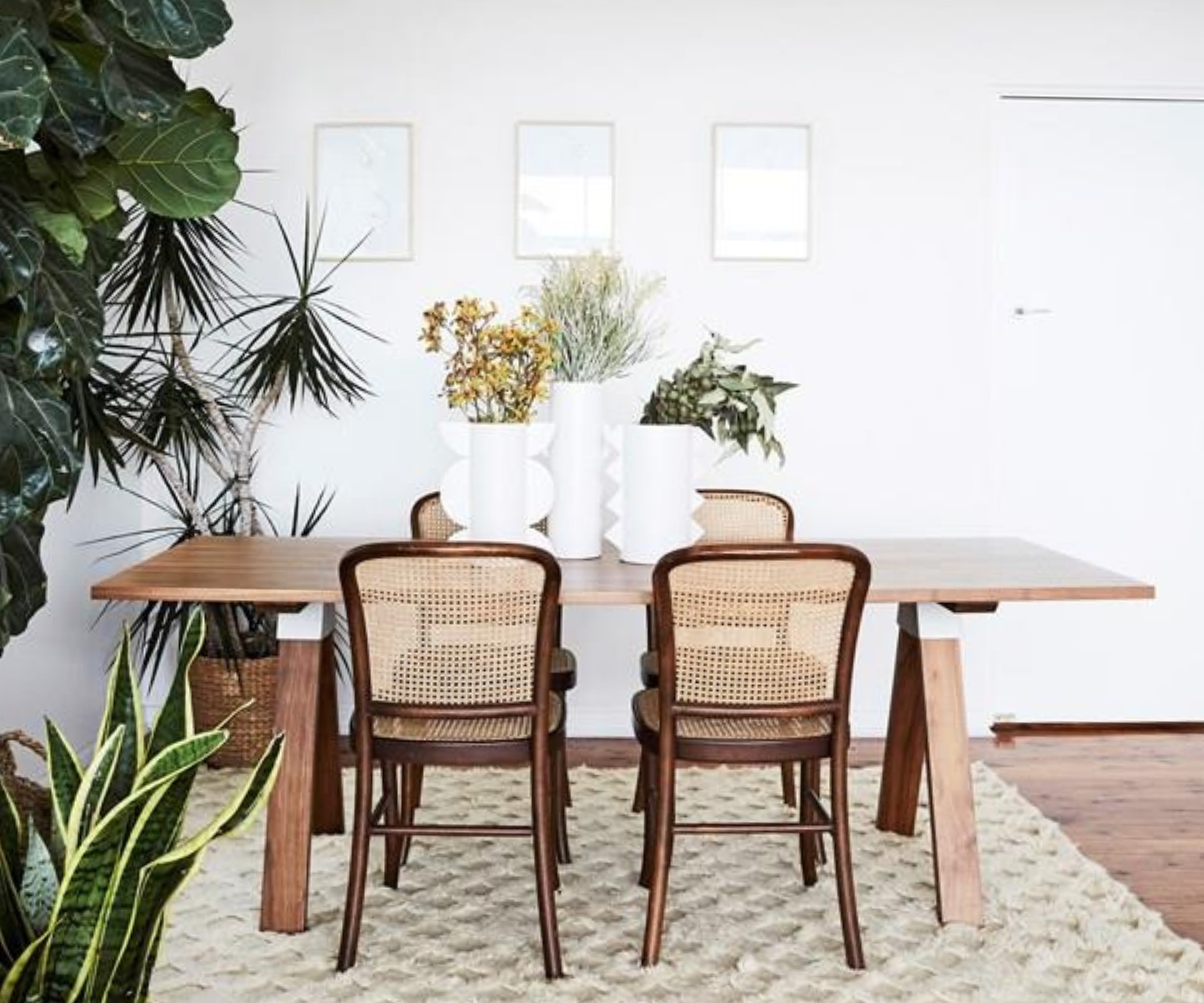 indoor plants bedroom