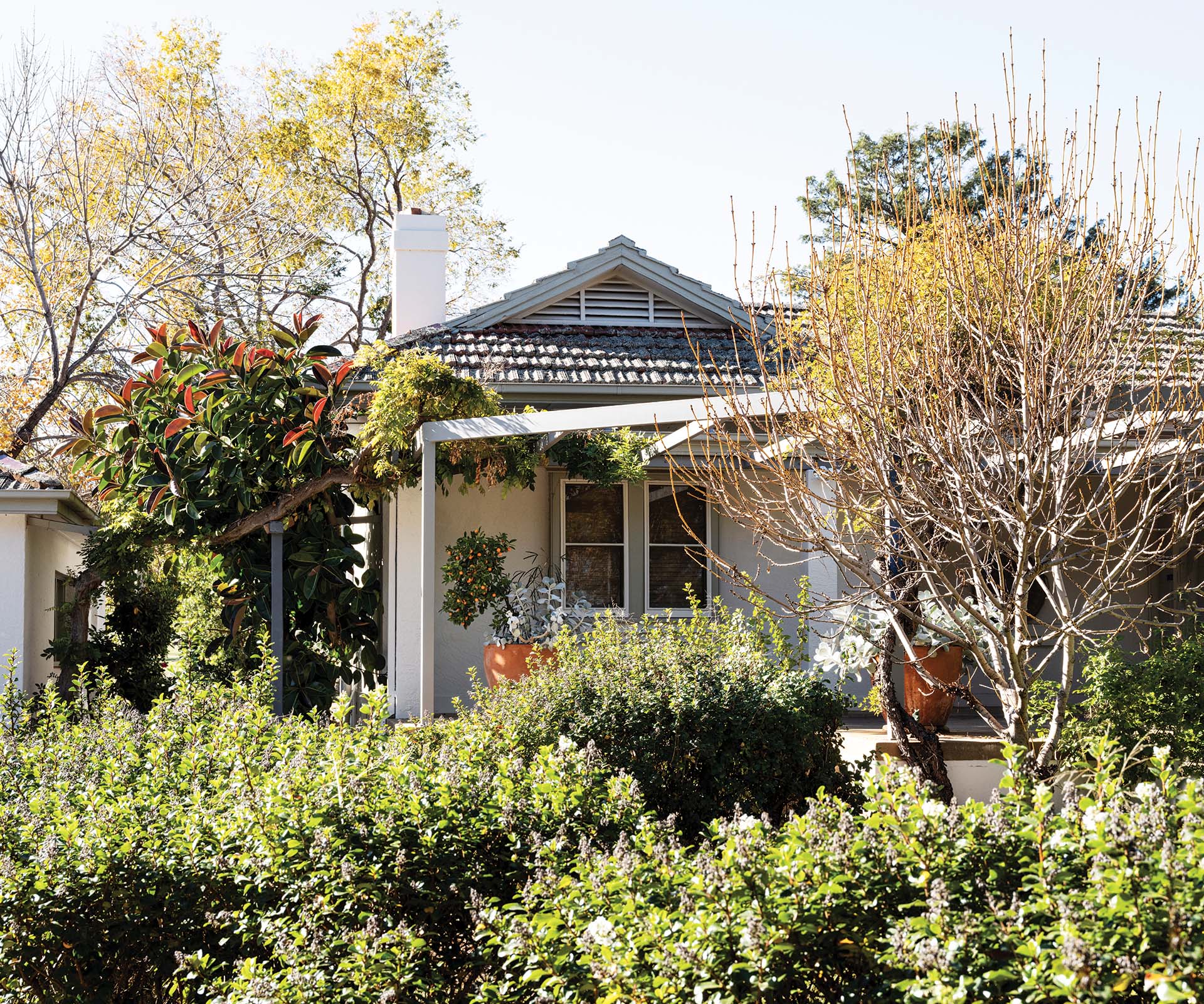 An artist’s 1940s country homestead that serves as inspiration for her work