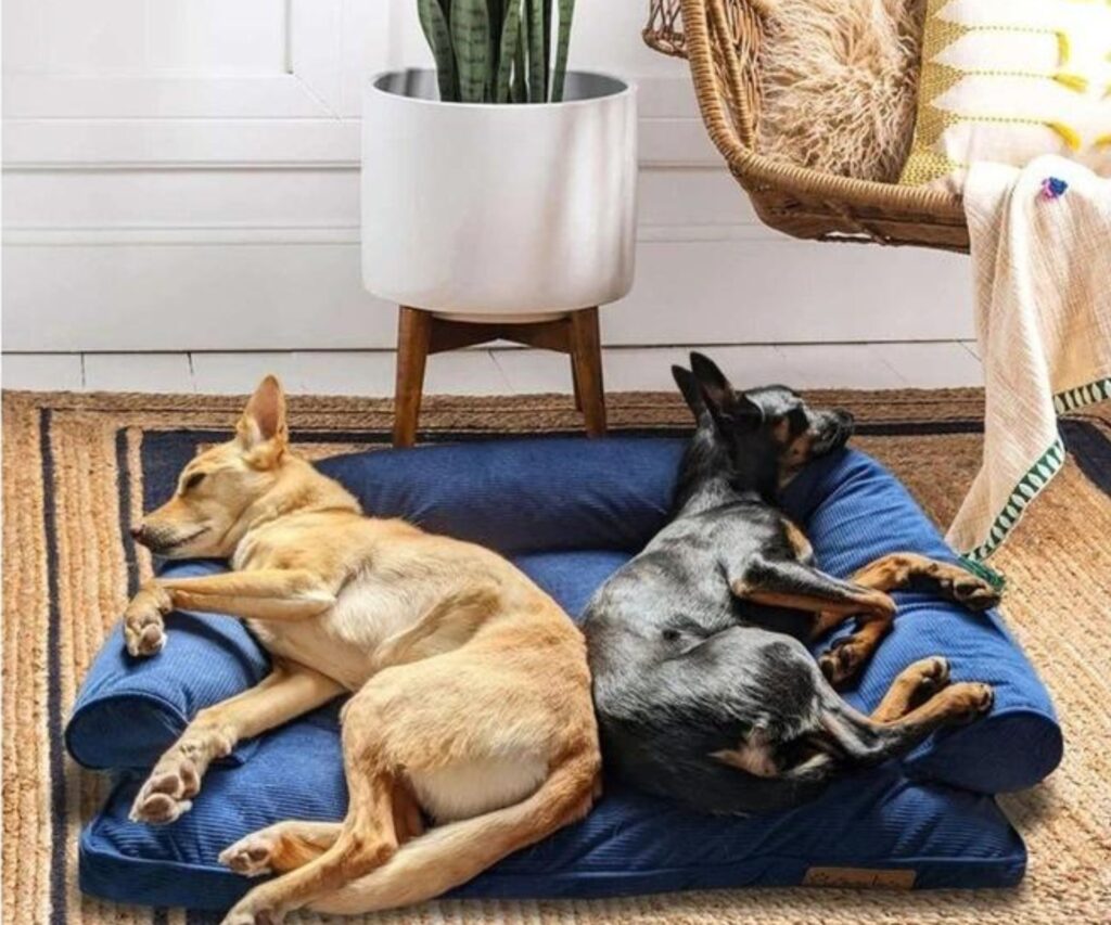 pet-beds-australia-Chinchilla Snuggler Pet Bed (3)