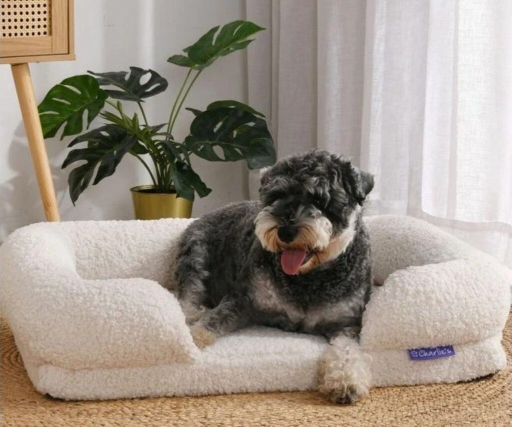 pet-beds-australia-Teddy Fleece Orthopedic Memory Foam Sofa Dog Bed in Cream