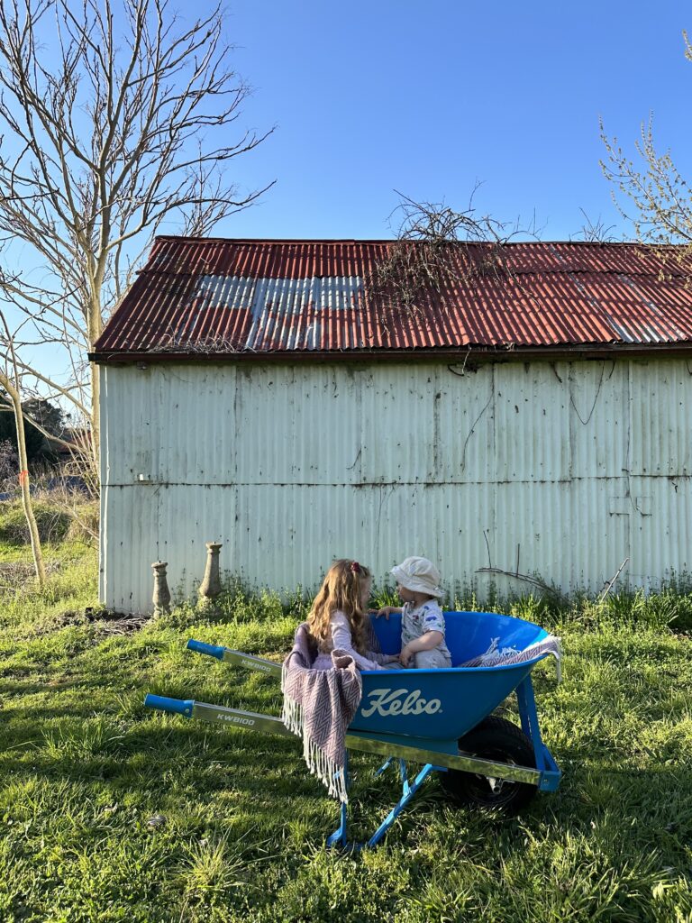 Saltash-Farm-Carcoar-Edwina-Bartholemew-Neil-Varcoe-kids-farm