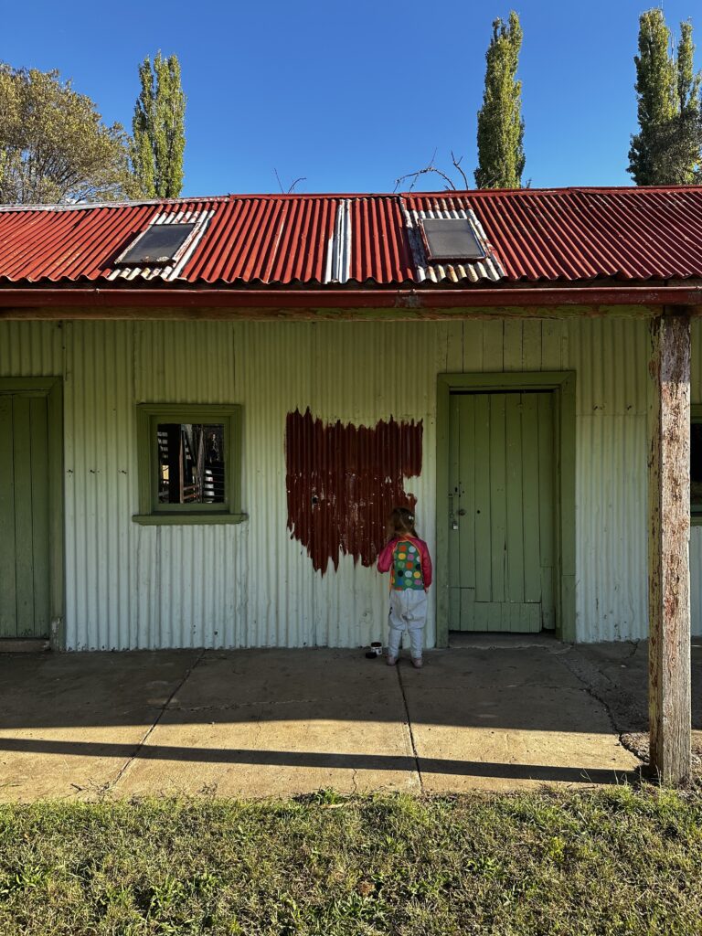 Saltash-Farm-Carcoar-Edwina-Bartholemew-Neil-Varcoe-shed