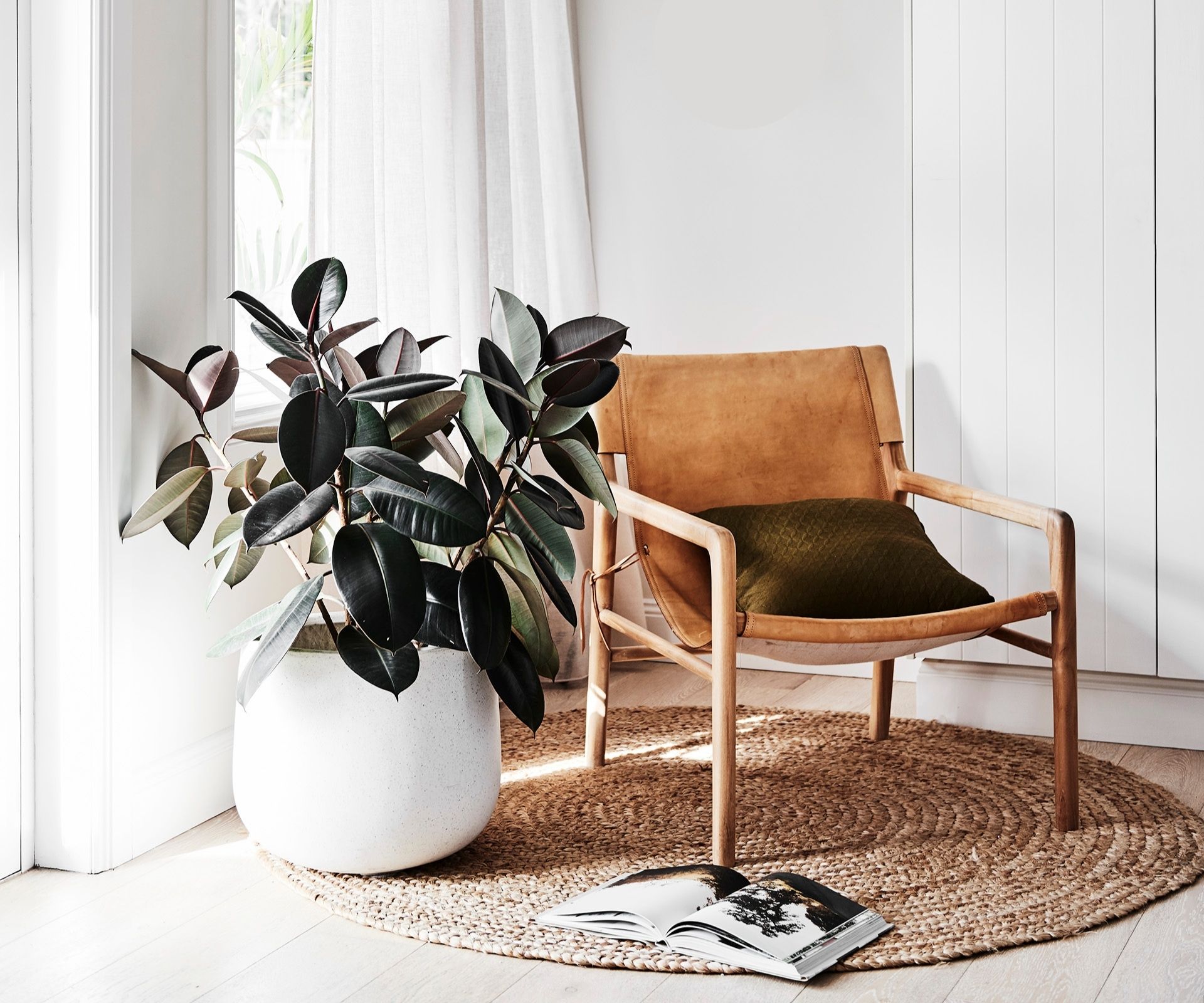 Low-maintenance indoor plants