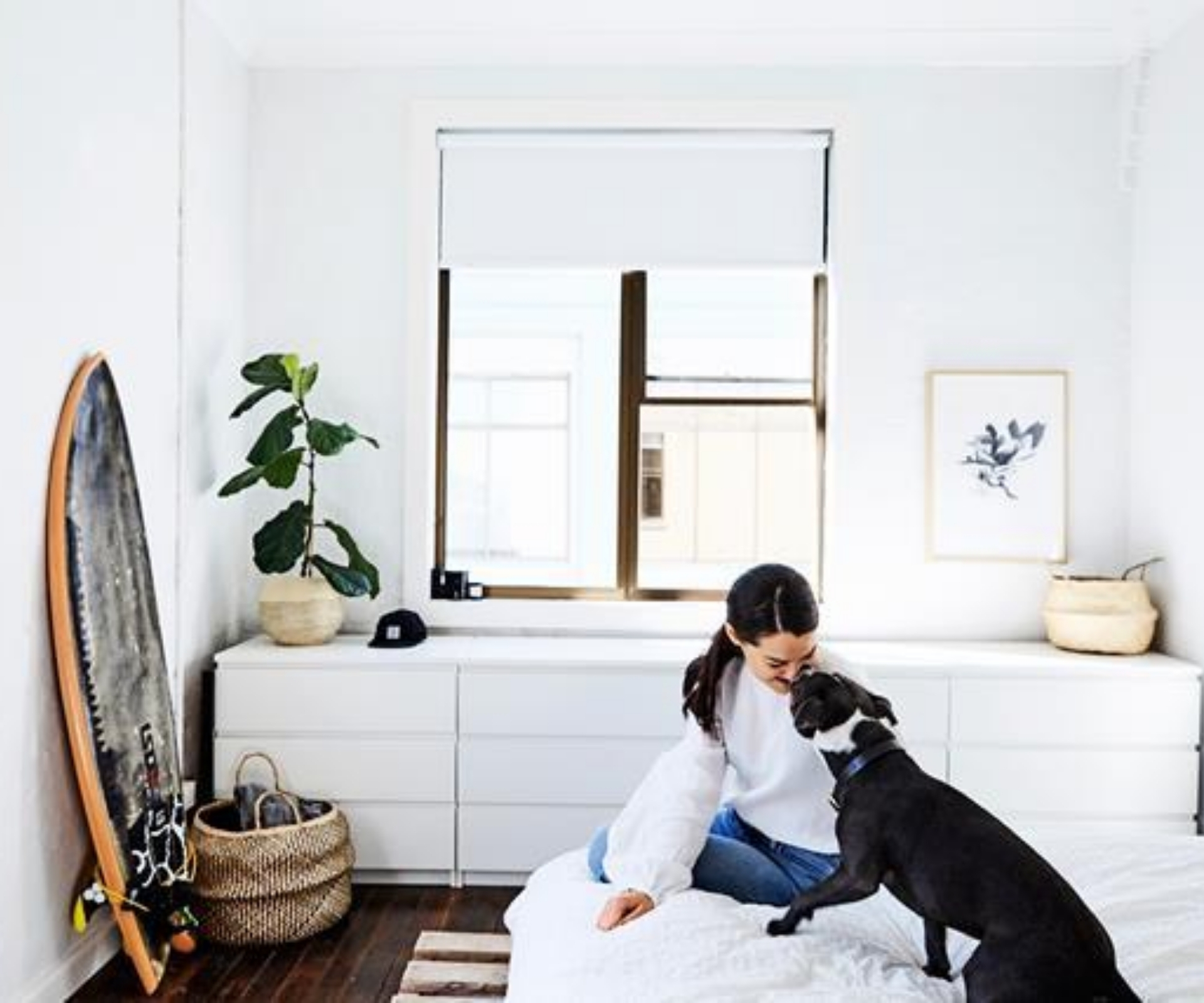 How to eliminate pet hair from your home