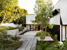 native-garden-multi-levelled