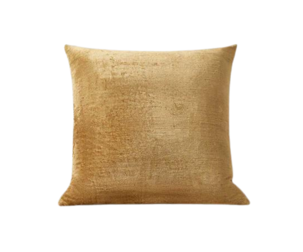 velvet-cushion